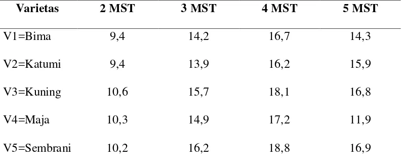 Tabel 2. Rataan jumlah daun (helai) pada umur 2,3,4 dan 5 minggu setelah tanam (MST). 