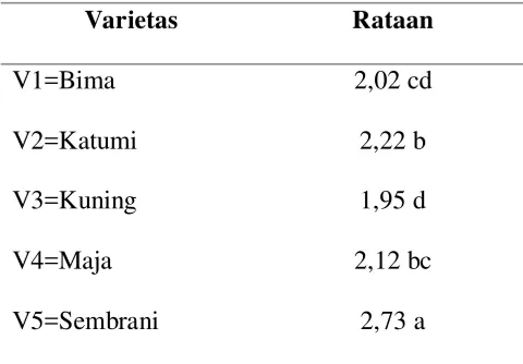 Tabel 4.Rataan diameter umbi (cm) pada berbagai varietas 