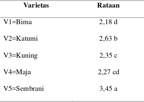 Tabel 5. Rataan tinggi umbi (cm) pada berbagai varietas 