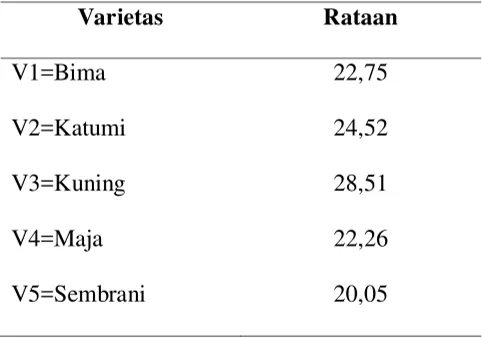 Tabel 6. Rataan berat umbi basah (gr) per rumpun pada berbagai varietas 