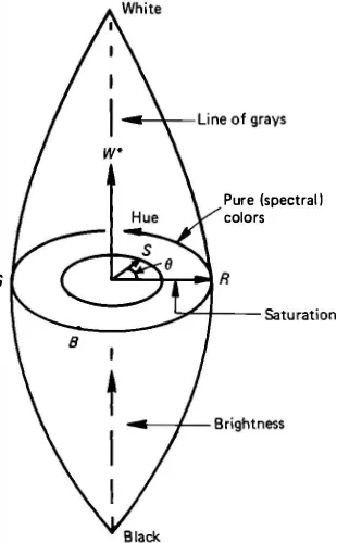 Figure 3.10 Perceptual representation of the color space. The brightness W* varies along the vertical axis, hue 0 varies along the circumference, and saturation S varies along the radius