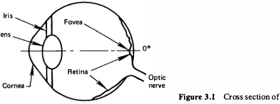 Figure 3.2 Typical relative luminous ef­