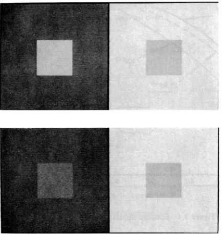 Figure 3.3 Simultaneous contrast: (a) small squares in the middle have equal luminances but do not appear equally bright; 