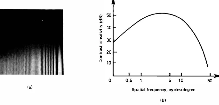 Figure 3.7 MTF of the human visual system. (a) Contrast versus spatial frequency sinusoidal grating; (b) typical MTF plot