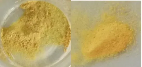 Gambar 7.Nanomaterial (kiri) MCM-41 dan (kanan) IBN yang sudah di-loading ekstrak kulit jeruk purut