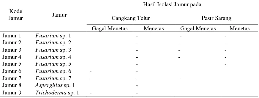 Tabel 1. Hasil isolasi jamur dari cangkang telur dan pasir sarang penyu lekang yang menetas dan gagal menetas di penangkaran Pariaman 