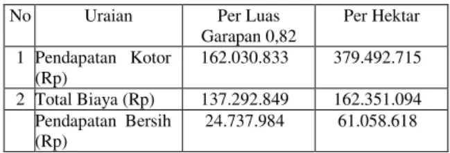 Tabel 4. Rata rata produksi bibit Topas dan   pendapatan  kotor  responden dalam pembibitan kelapa sawit/Tahun