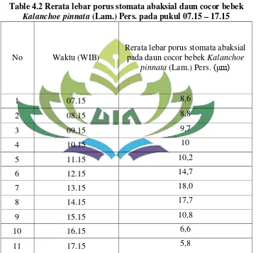 Table 4.2 Rerata lebar porus stomata abaksial daun cocor bebek  