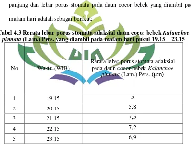 Tabel 4.3 Rerata lebar porus stomata adaksial daun cocor bebek Kalanchoe 