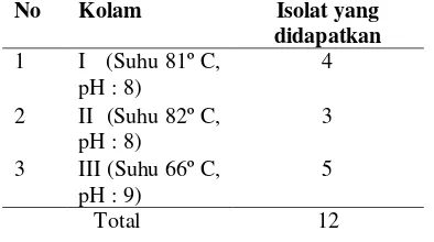 Tabel 1. Isolat bakteri termofilik obligat dari sumber air panas Semurup yang ditumbuhkan pada medium NA, suhu 70º C 