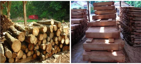 Gambar 2.  Bahan baku dan produk kayu gergajian yang dihasilkan oleh salah satu  pabrik pengolahan kayu karet di Sumatera Selatan