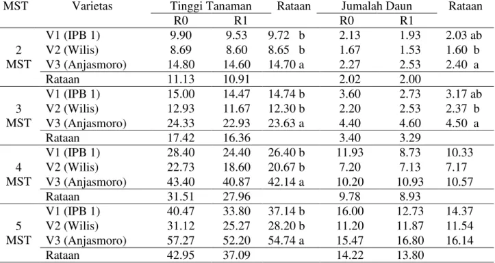 Tabel 1. Tinggi tanaman (cm) dan Jumlah daun (helai) tiga varietas kedelai pada umur  2²5 MST   dengan perlakuan inokulasi Rhizobium 