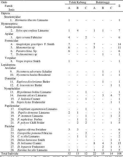 Tabel 1. Jenis dan jumlah individu serangga pengunjung bunga Clerodendrum   paniculatum L