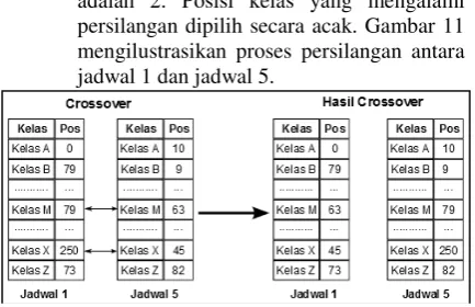 Gambar 11. Ilustrasi Proses Persilangan 