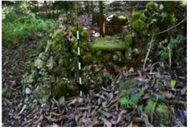 Gambar 13.     Batu pipih pada gambar diduga bagian dari struktur batu meja, Situs Bukit Kapahaha