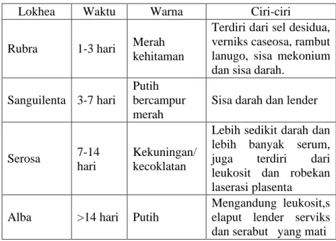 Table 2.6  Perbedaan Masing-masing Lokhea 