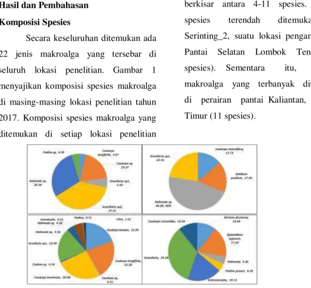 Gambar  1.  Komposisi  spesies  makroalga  di  perairan  pantai  pulau  Lombok  bagian  selatan  tahun  2017  (A:  Serinting_1;  B:  Serinting_2;  C:  Kaliantan,  dan  D:  Sekotong) 