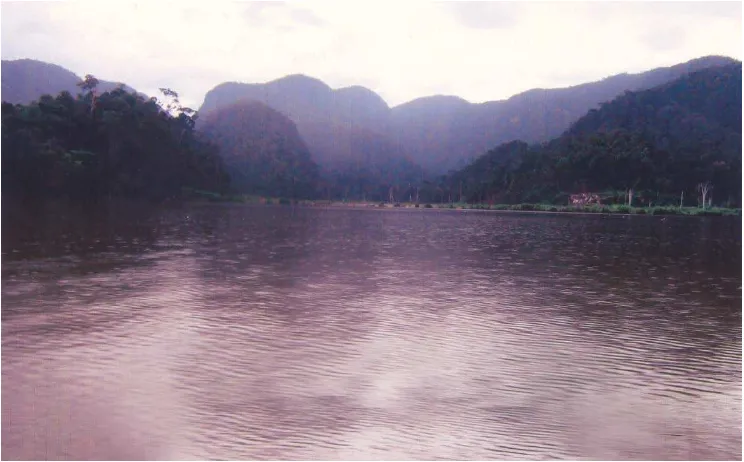 Gambar 1 : Danau Siais 