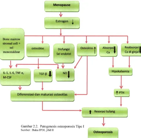 Gambar 2.2. PatogenesisSumber: osteoporosis Tipe I  Buku IPDLjilidll 