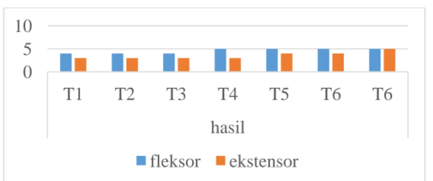 Grafik 3. Hasil evaluasi kekuatan otot 