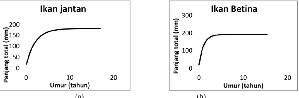 Gambar 3. Grafik pertumbuhan ikan tembakang (Helostoma temminckii) (a) jantan (b) betina yang  tertangkap di Rawa Bawang Latak selama penelitian 