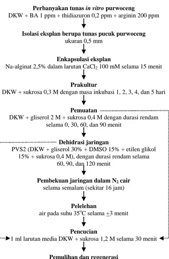 Gambar 1. Diagram alir percobaan kriopreservasi tunas purwo- purwo-ceng dengan teknik enkapsulasi-vitrifikasi