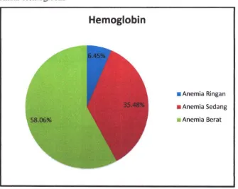 Gambar 4.4 Diagram Distribusi Klasifikasi Responden Anemia Berdasarkan 