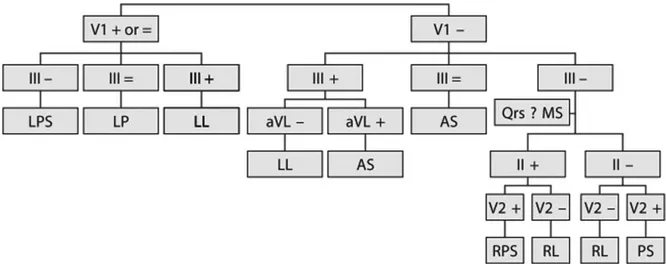 Gambar 3. Algoritma untuk mendeteksi lokasi AP dari EKG (LPS =Left posteroseptal, LP=Left posterior, LL=Left 