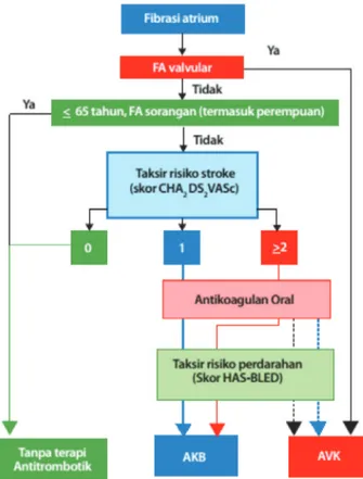 Gambar 7. Diagram pemilihan terapi  antikoagulan 