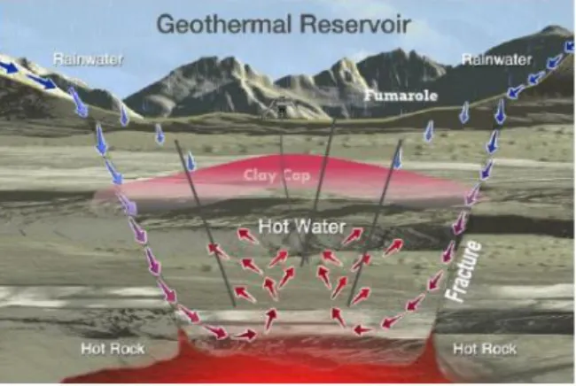 Gambar 1. Model Sistem Geotermal [5]  Sistem geotermal terdiri dari tiga elemen  utama: (1) batuan reservoir yang permeabel, (2)  air  yang  membawa  panas  dari  reservoir  ke  permukaan bumi, dan (3) sumber panas 