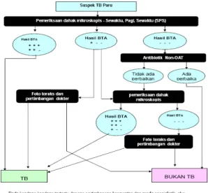 Gambar 5.  Alur Diagnosis TB 2