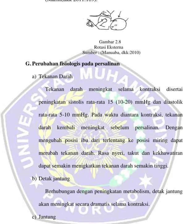 Gambar 2.8            Rotasi Eksterna 