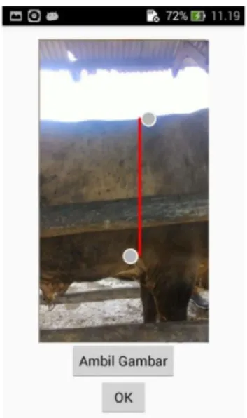 Gambar 7 (a) Halaman perhitungan pada jenis sapi limpo dan (b)  Halaman perhitungan pada jenis sapi simpo 