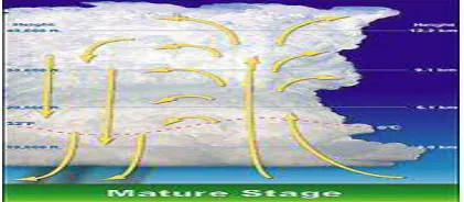 Gambar 2.5 tahap mati (dissipating stage) 