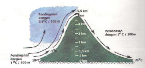 Gambar 2.11. Terjadinya Angin Fohn 