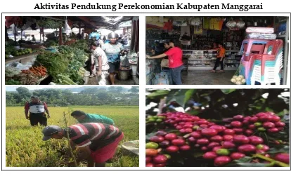 Gambar 1.2   Aktivitas Pendukung Perekonomian Kabupaten Manggarai 