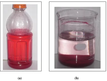 Figure 5.  Batik's Wastewater Before (a) and After (b) Treatment by Combination of NICS and Aluminium Sulfate