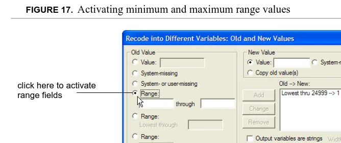 FIGURE 16. Recode window with Old --> New values displayed