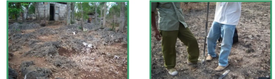 Gambar 1.  Terumbu  karang  sebagai  bahan  induk  tanah  di  sekitar  embung  Oemasi  (kiri) dan kondisi tanah yang sangat dangkal di sekitar embung Lili (kanan)  Guna memperpanjang umur embung dan memperbesar jumlah air yang dapat  ditampung, diperlukan 