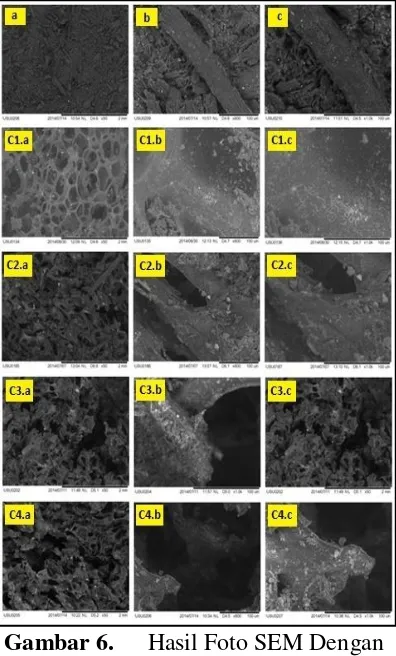 Gambar 6. Hasil Foto SEM Dengan 