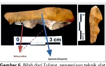 Gambar 6. Bilah dari Tulang, pengerjaan teknik alat batu (Sumber: Nurani, Hacaryo, 2011) 