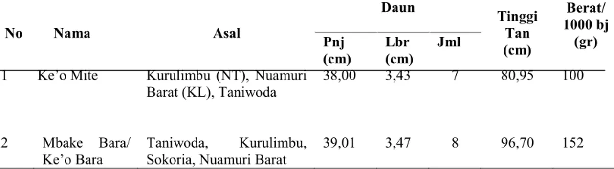 Tabel  5.  Keragaman  jenis  tanaman  Jali  di  empat  kecamatan  sekitar  Taman  Nasional Kelimutu No Nama Asal Daun TinggiTan (cm) Berat/ 1000 bj(gr)Pnj (cm) Lbr (cm) Jml