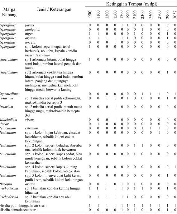 Tabel 2. Hasil identifikasi morfologi mikoflora kapang pada sampel tanah Gunung Ciremai