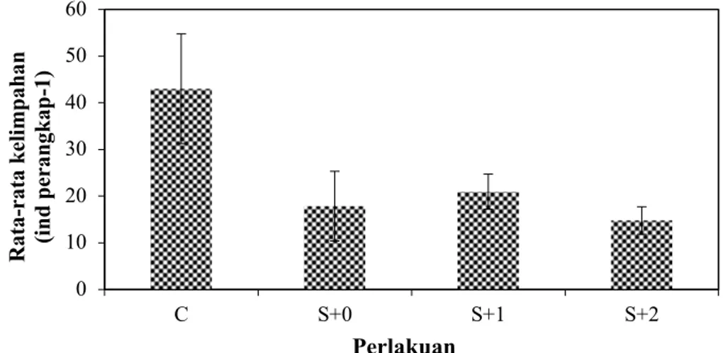 Gambar 1. Rata-rata kelimpahan semut tanah di setiap perlakuan (C: kontrol; S+0: baru 