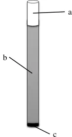 Fig 2. Gold electrode surface before (a) and after deposited by polyamide 11 (b), and the surface of modified gold electrode with polyamide 11-gold nanoparticles