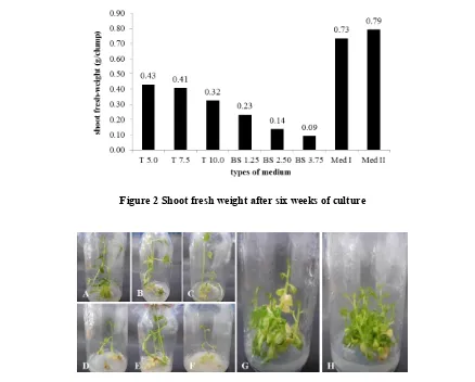 Figure 3 Regenerated shoot of P. angulata after six weeks of culture. A-C. Tomato medium, D-F