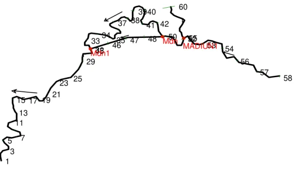 Gambar 1.  Skema Geometrik Sungai Madiun  2). Syarat batas hulu dan hilir. 
