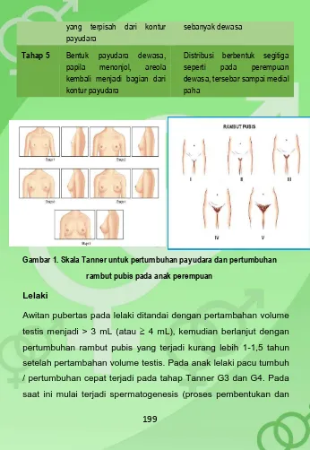 Gambar 1. Skala Tanner untuk pertumbuhan payudara dan pertumbuhan 