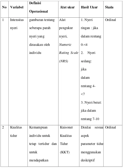 Tabel 3.1 Definisi Operasional 