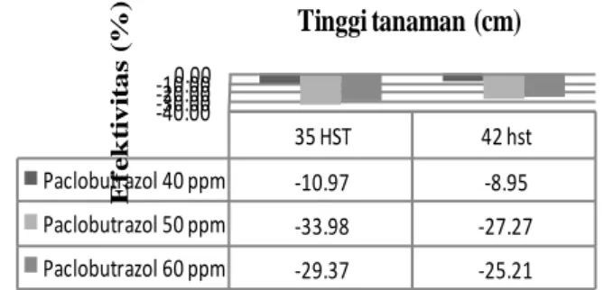 Tabel  2.  Pengaruh  Konsentrasi  Paclobutrazol  terhadap  Rata-rata  Jumlah  daun  Tanaman  Bunga  Matahari  umur 35 HST dan 42 HST 